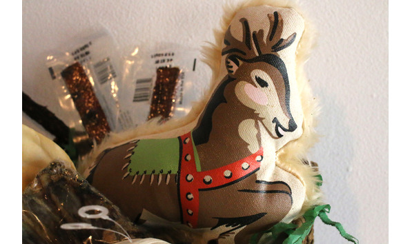 Big image smellydogdetail