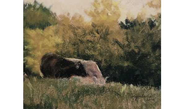 Big image bw tog 4245