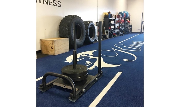 Big image kings fit 1