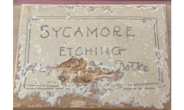 Big image sa etching 2