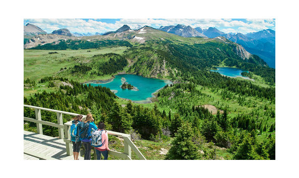 Big image sunshine summer pic