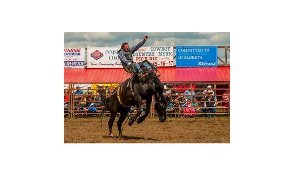 Big image daines rodeo