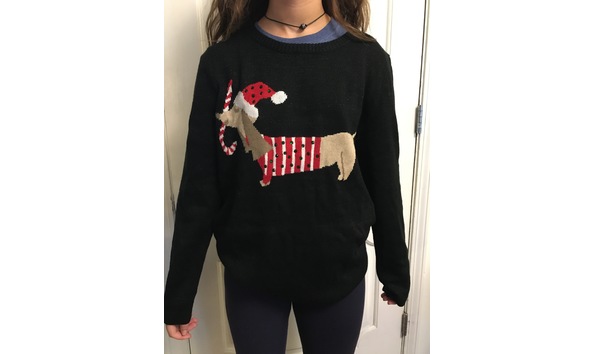 Big image weiner sweater