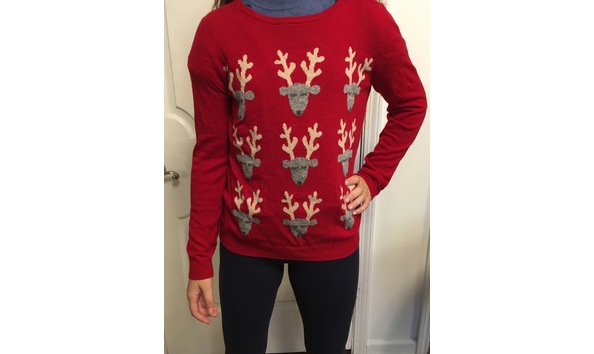 Big image reindeer sweater