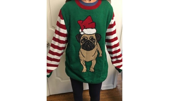Big image pug sweater