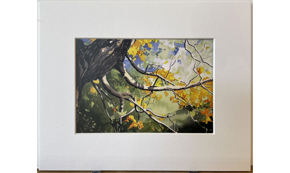 Big image robin 8x10print