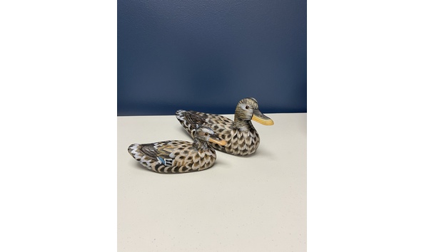 Big image 7faaa983 6d3b 4476 b1d3 53a4bbb4e4a8