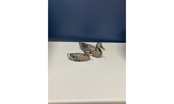 Big image 0e39b9cb 5af2 4d46 85d3 276b248fc19f