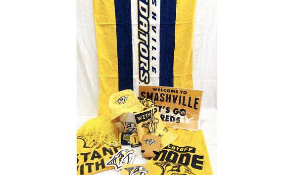 Big image preds swag