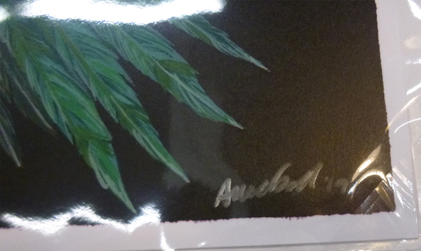 Big image mini magick20220831 67281 uwkus3