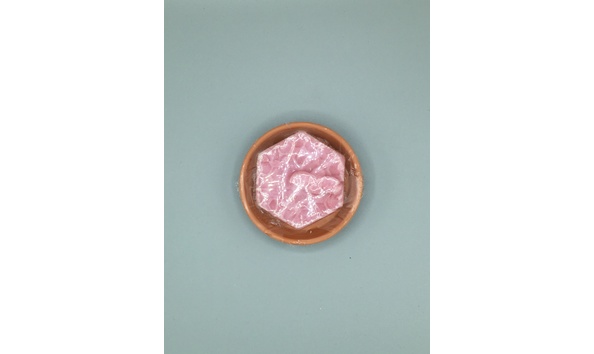 Big image mini magick20220831 67281 1ttu6y0