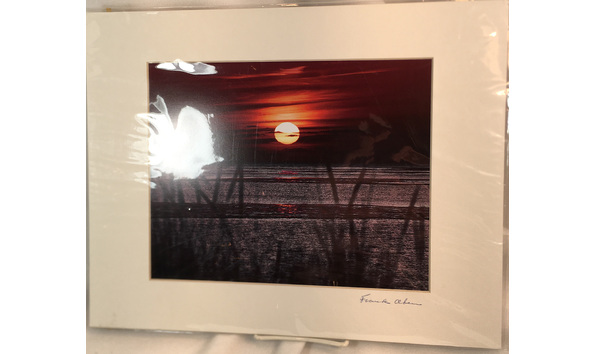 Big image mini magick20220831 67281 f3oq1s