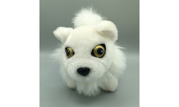 Big image mini magick20220831 67281 ewa2xh