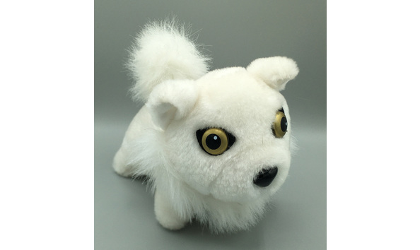 Big image mini magick20220831 67281 25hiw7