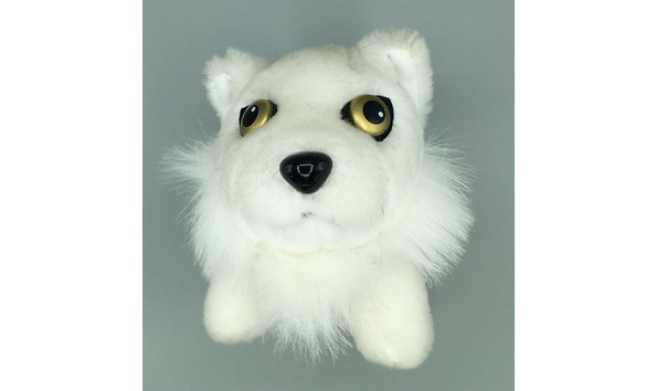 Big image mini magick20220831 67281 zjlw0u