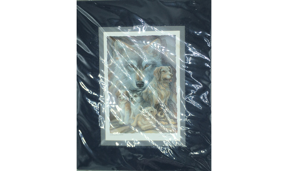 Big image 202206art003 3   companions