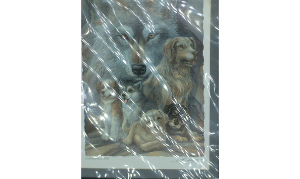 Big image 202206art003 4   companions