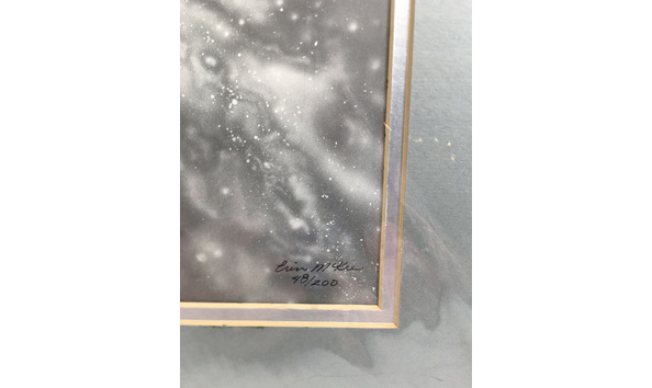 Big image 202206art030 2   dolphins in space