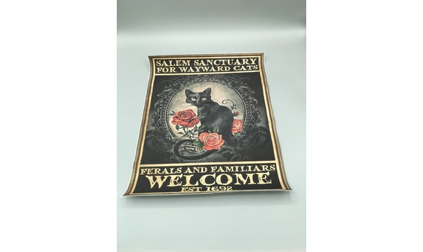 Big image 202207art001 2   salem sanctuary for wayward cats