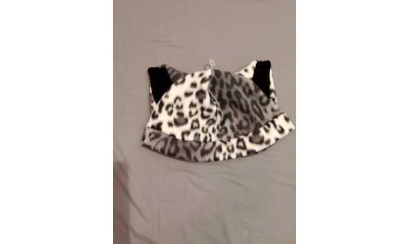 Big image 20220910 085513