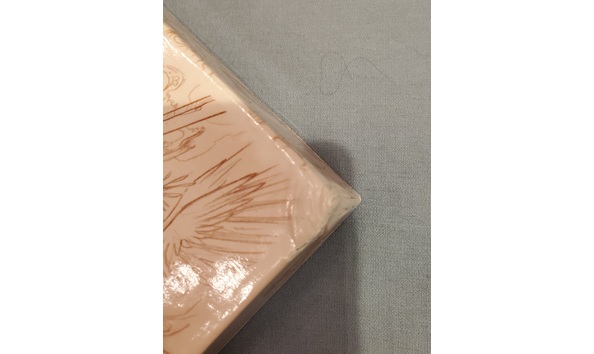 Big image 20220910 081847