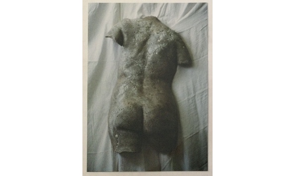 Big image mini magick20220919 19299 a3gi6y