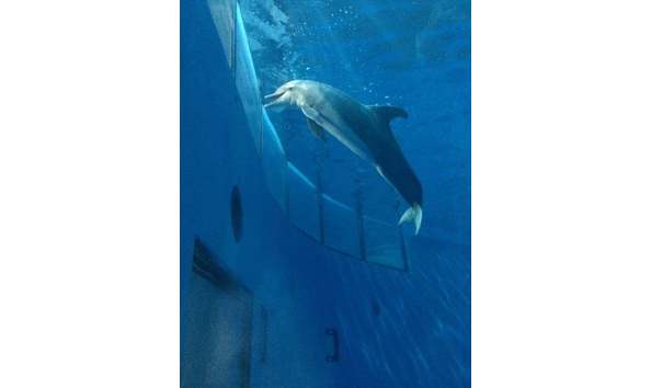 Big image indianapolis zoo 3