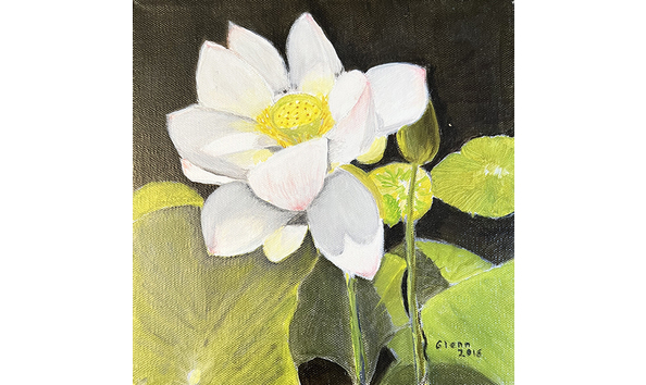Big image glenn kratzer lotus blossom