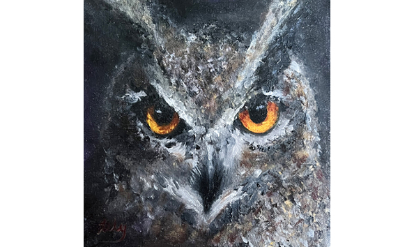 Big image tamar ely owl