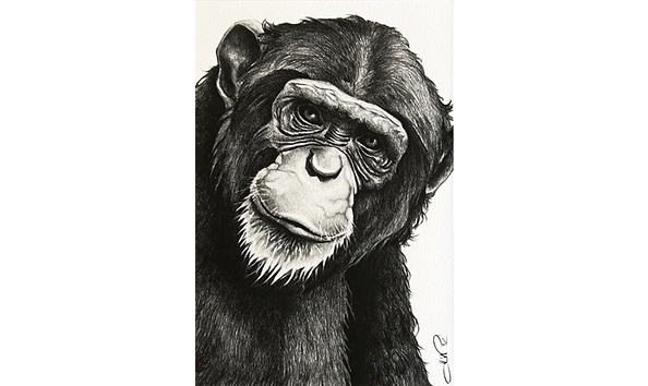 Big image jlw monkey business