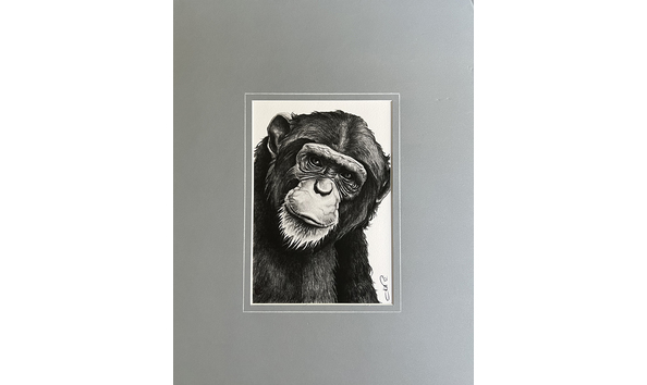 Big image jlw monkey business with mat