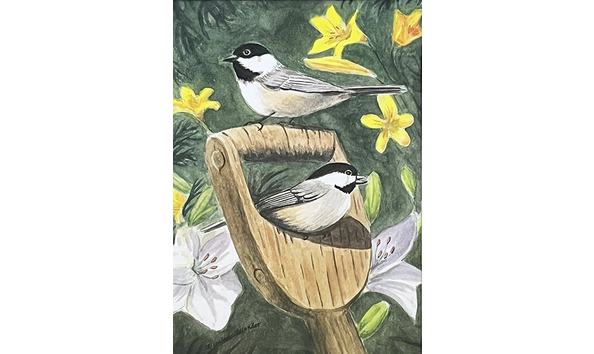 Big image betty allender black capped chickadees
