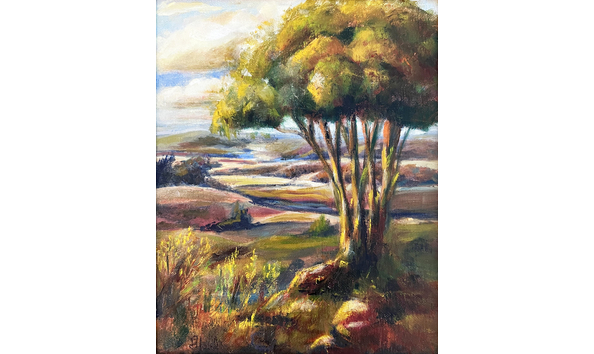 Big image gloria hasel westerly view