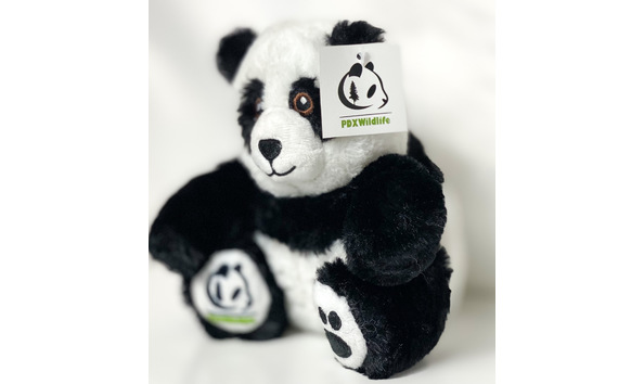 Big image mini magick20220929 1298 1bxn723