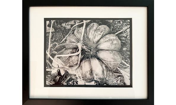 Big image gayle cichocki pumpkin with frame