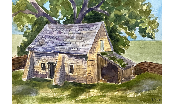 Big image eva bednarsky watercolor 2