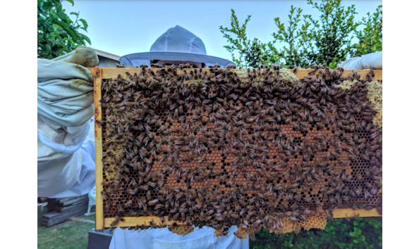 Big image screen shot 2022 09 30 at 4.03.50 pm