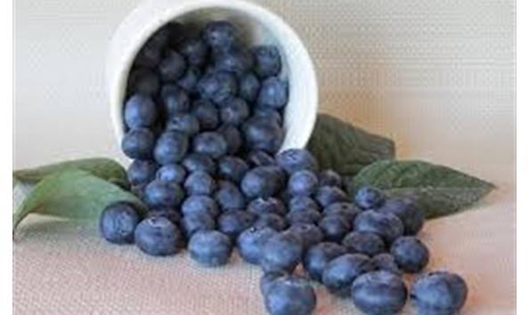 Big image blueberries
