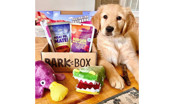 Big image bark box 1