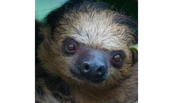 Big image denver zoo 4