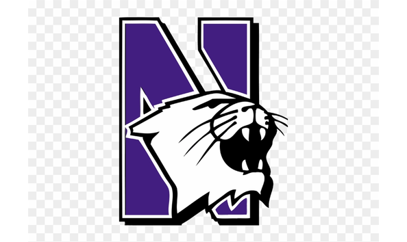 Big image nu wildcats logo