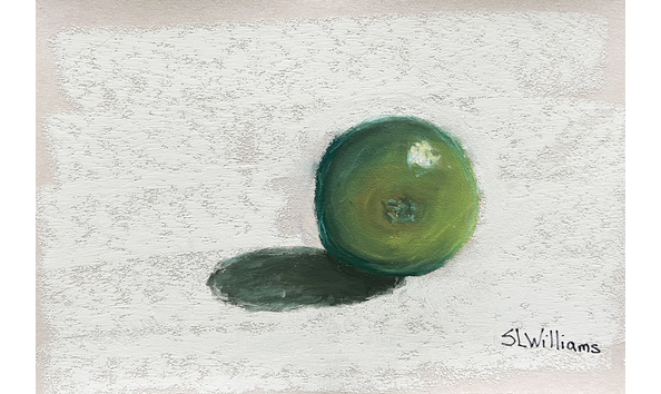 Big image susan williams kiwi fruit study