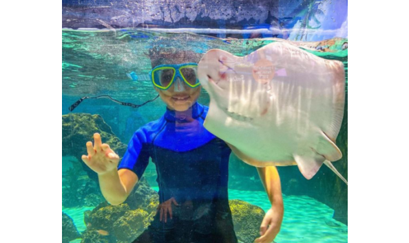 Big image seaquest 2