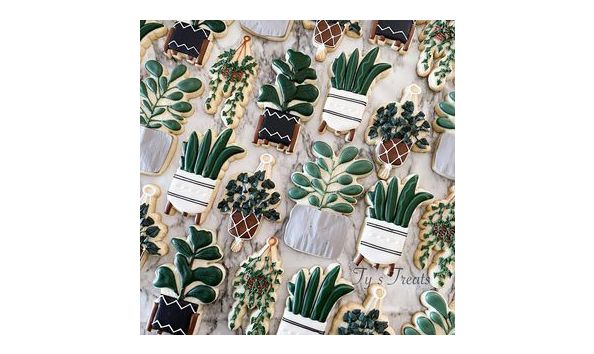 Big image ty s treat 1 2