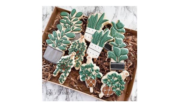 Big image ty s treats 1 2