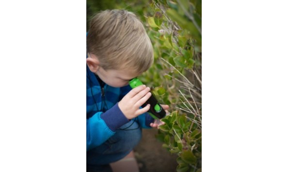 Big image dt microscope