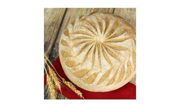 Big image great harvest 5