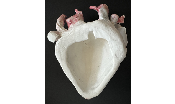 Big image derek reynoso detail 4