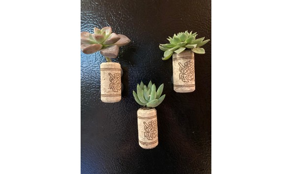 Big image magnet  1   1