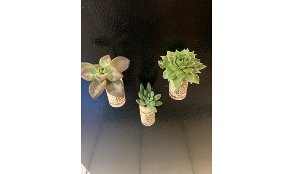 Big image magnet  1   2